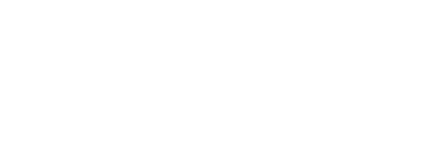 Havis Logo