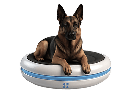 Quantum K9 imPulse® AI-powered K9 health monitoring system providing Vibrome™ biosignature analysis for working dogs