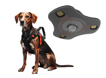 Quantum K9 imPulse® WARDEN+ tactical K9 health intelligence platform for military, police, and service dog health monitoring