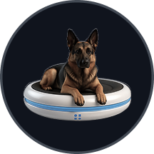 imPulse® WARDEN+ Vibrome™ wearable biosignature monitor for continuous K9 health surveillance and handler-canine dual guardianship in field operations