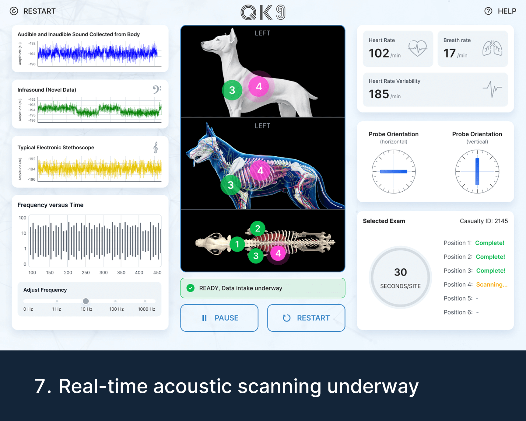 Quantum K9™ real-time Vibrome™ acoustic biosignature scan showing k9 probe positions, sound signals, heart rate and breathing data