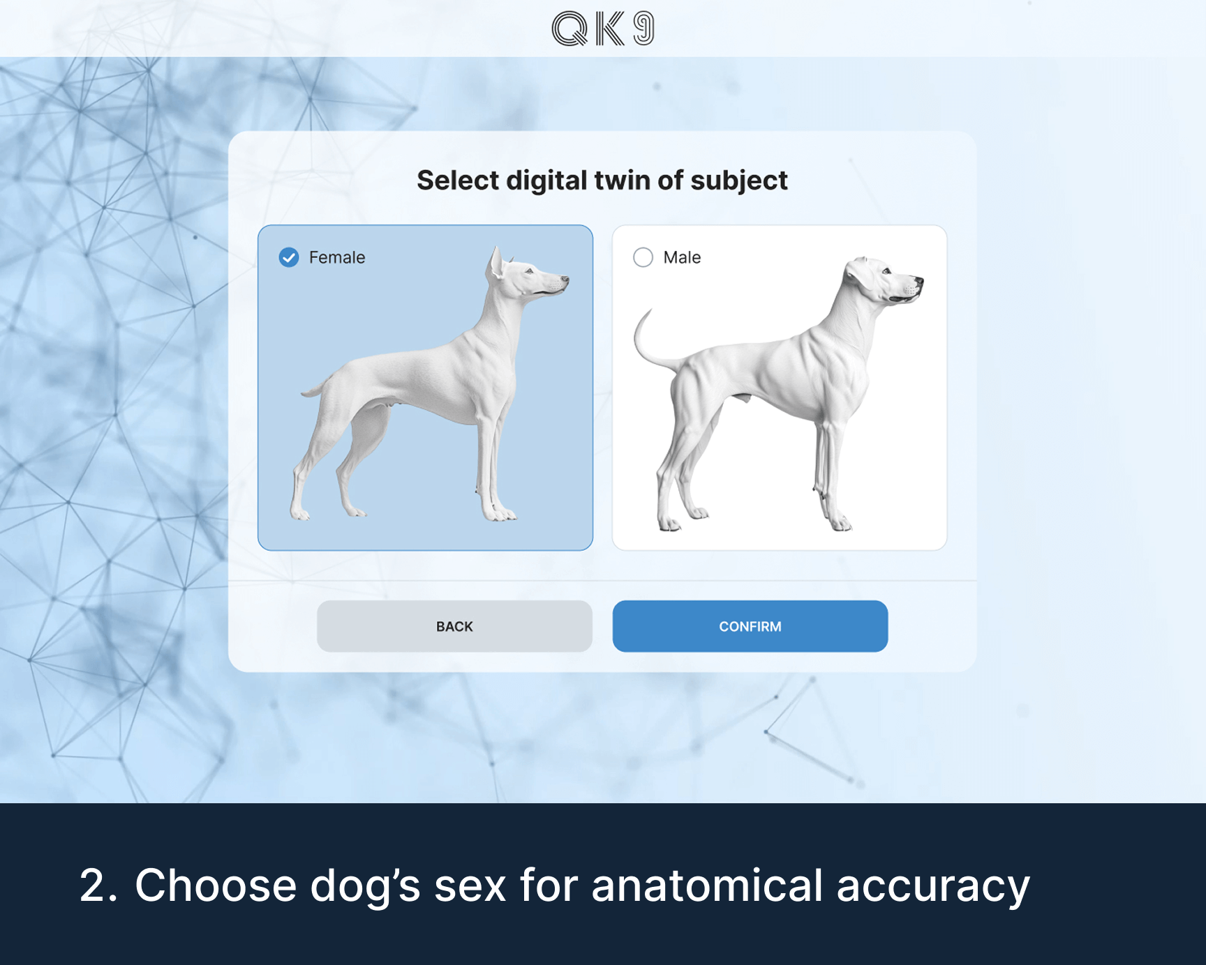 Quantum K9™ screen for selecting a male or female K9 digital twin for anatomically accurate Vibrome™ assessment