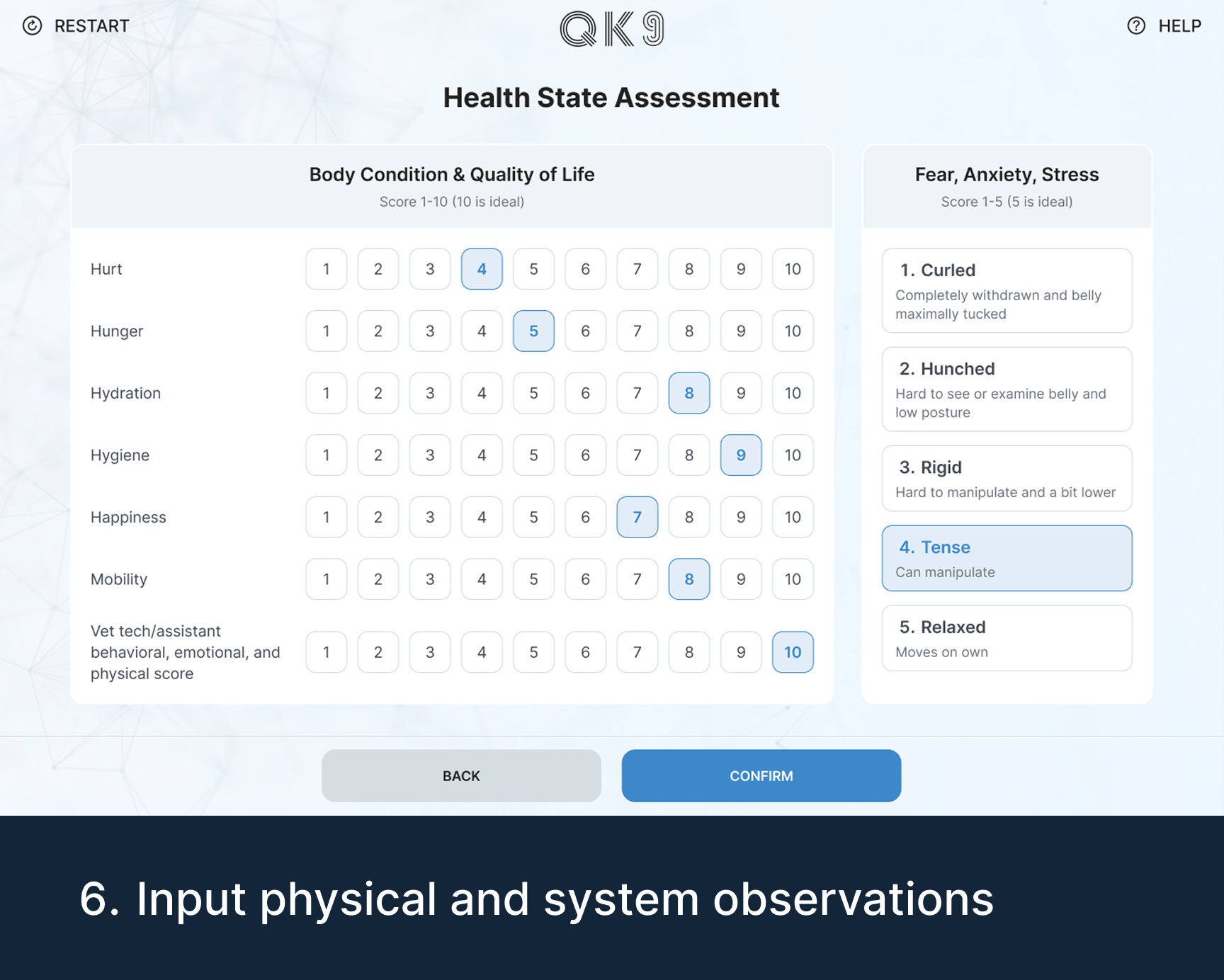 Quantum K9™ health state assessment for K9 body condition, quality of life, fear, anxiety and stress