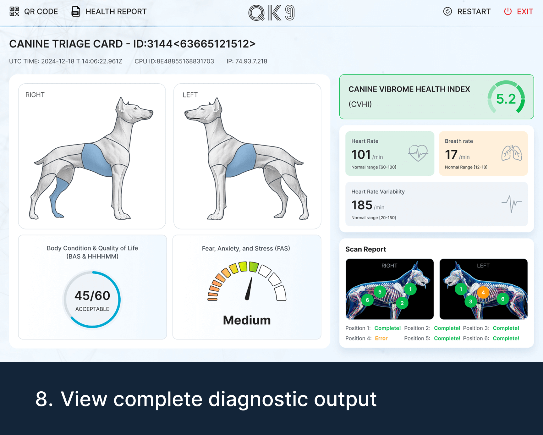Quantum K9™ diagnostic report showing Vibrome™ health index, heart rate, breathing rate, body condition and scan results