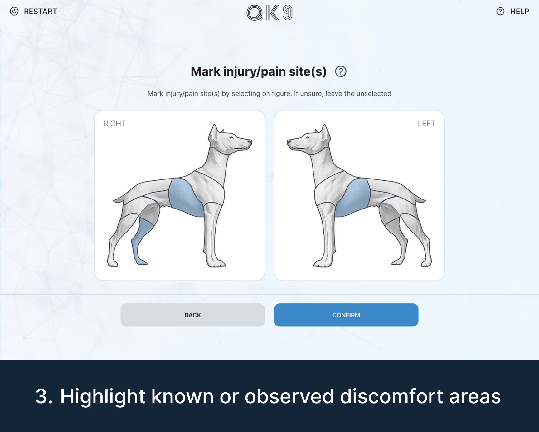 Quantum K9™ body diagram for marking known or observed injury and pain locations before Vibrome™ scanning