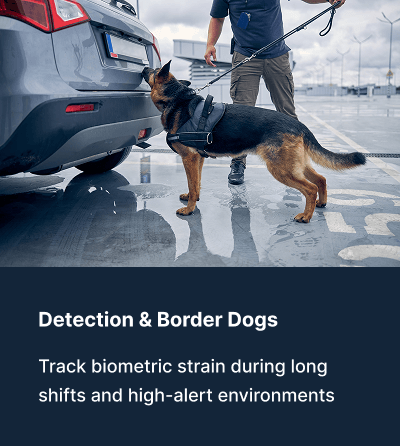 Border detection dog with Vibrome™ wearable biosignature sensor tracking biometric strain during long high-alert shifts