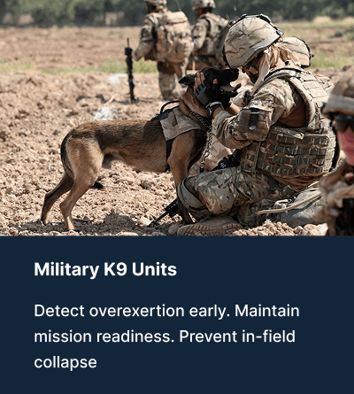 Military K9 unit using Vibrome™ biosignature monitoring to detect overexertion early and maintain mission readiness in the field