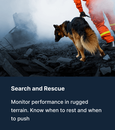 Search and rescue dog with Vibrome™ health monitoring sensor for performance tracking in rugged terrain